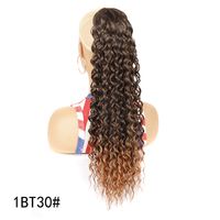 Women's Simple Style Holiday High Temperature Wire Long Curly Hair Wigs sku image 13