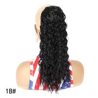 Women's Simple Style Holiday High Temperature Wire Long Curly Hair Wigs sku image 1