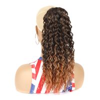 Women's Simple Style Holiday High Temperature Wire Long Curly Hair Wigs sku image 5