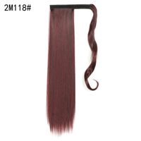 Women's Fashion Street High Temperature Wire Long Straight Hair Wigs sku image 9