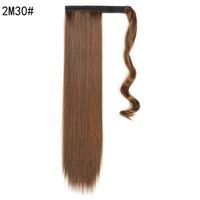 Women's Fashion Street High Temperature Wire Long Straight Hair Wigs sku image 7