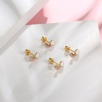 1 Piece Cartoon Style Rainbow Enamel Titanium Steel Ear Studs main image 2