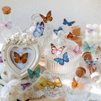 Cute Butterfly Pet Sticker 8 Styles 40 Pcs Notebook Diary Diy Decorative Stickers main image 1