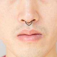 Simple Style Solid Color Stainless Steel Nose Ring 1 Piece main image 4