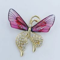 Simple Style Butterfly Alloy Plating Rhinestones Women's Brooches 1 Piece sku image 2
