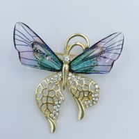 Simple Style Butterfly Alloy Plating Rhinestones Women's Brooches 1 Piece sku image 3