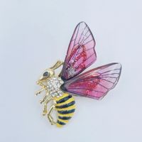 Simple Style Butterfly Alloy Plating Rhinestones Women's Brooches 1 Piece sku image 9