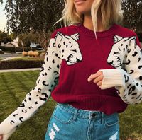 Women's Sweater Long Sleeve Sweaters & Cardigans Rib-knit Hollow Out Fashion Color Block Leopard main image 4