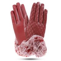 Mujeres Retro Color Sólido Fibra De Poliacrilonitrilo Guantes 1 Par sku image 4