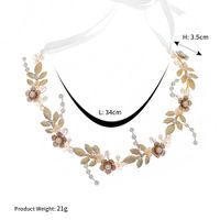 Alloy Fashion Flowers Hair Accessories  (hs-j5447 Rose Alloy) Nhhs0619-hs-j5447-rose-alloy sku image 39