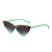 Fashion Geometric Pc Cat Eye Full Frame Women's Sunglasses sku image 4