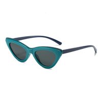 Fashion Geometric Pc Cat Eye Full Frame Women's Sunglasses sku image 5