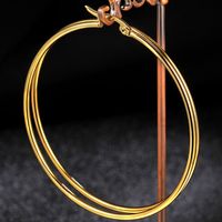 Classic Style Titanium Steel Hypoallergenic Circle Earrings sku image 10