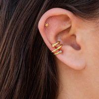 Fashion Star Alloy Zircon Women's Ear Clips 1 Pair main image 6
