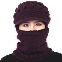 Women's Simple Style Solid Color Braid Wool Cap sku image 6