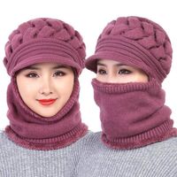 Women's Simple Style Solid Color Braid Wool Cap main image 3