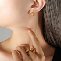 Fashion Geometric Titanium Steel Plating Zircon Earrings 1 Pair main image 3