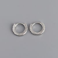 Fashion Circle Sterling Silver Plating Zircon Earrings 1 Pair sku image 2