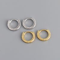 Fashion Circle Sterling Silver Plating Zircon Earrings 1 Pair main image 1