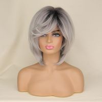 Unisex Einfacher Stil Ferien Hochtemperaturdraht Mittelscheitel Langes Glattes Haar Perücken sku image 1