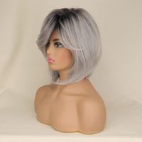 Unisex Einfacher Stil Ferien Hochtemperaturdraht Mittelscheitel Langes Glattes Haar Perücken main image 3