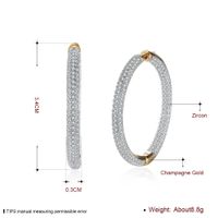 Simple Style Circle Brass Plating Zircon Earrings 1 Pair main image 2