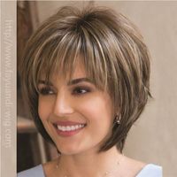Women's Fashion Daily High Temperature Wire Side Fringe Short Straight Hair Wigs main image 1