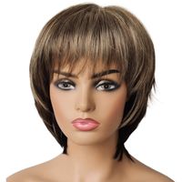 Women's Fashion Daily High Temperature Wire Side Fringe Short Straight Hair Wigs main image 2
