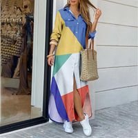 Mujeres Falda Acampanada Estilo Simple Cuello De Camisa Manga Larga Bloque De Color Vestido Maxilargo Casual A Diario main image 4