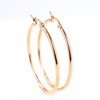 Simple Style Round Titanium Steel Plating Earrings 1 Pair main image 5