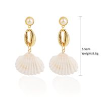 Fashion Shell Shell Inlaid Shell Artificial Pearls Women's Earrings 1 Pair sku image 15