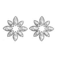 Moda Flor Aleación Diamante De Imitación Vidrio Mujeres Pendientes 1 Par sku image 1
