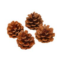 Christmas Pine Cones Wood Party Ornaments 1 Piece main image 4