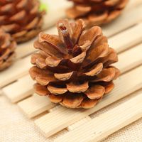Christmas Pine Cones Wood Party Ornaments 1 Piece main image 2