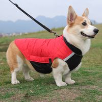 Casual Polyester Color Block Reflective Strip Pet Clothing 1 Piece main image 4