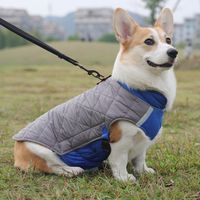 Casual Polyester Color Block Reflective Strip Pet Clothing 1 Piece main image 3