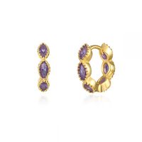Foreign Trade European And American C-shaped Earrings Purple Zircon Earrings S925 Silver Needle Earrings Set sku image 21