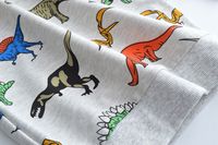 Fashion Dinosaur Cotton Hoodies & Knitwears main image 4
