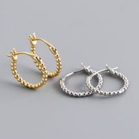 Fashion Geometric Sterling Silver Plating Earrings 1 Pair main image 1