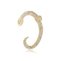 Casual Snake Dragon Alloy Plating Inlay Rhinestones Women's Drop Earrings Ear Clips 1 Pair main image 4