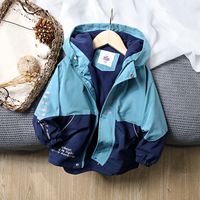 Casual Letter Color Block Button Polyester Boys Outerwear sku image 23
