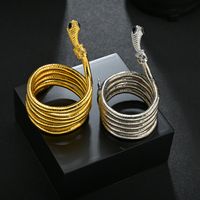 Vintage Style Snake Alloy Unisex Bracelets main image 1