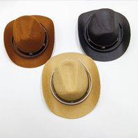 Basic Polyester Solid Color Pet Hat 1 Piece main image 4