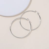 1 Paar Mode Kreis Überzug Legierung Eisen Ohrringe sku image 48