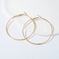 1 Paar Mode Kreis Überzug Legierung Eisen Ohrringe sku image 14