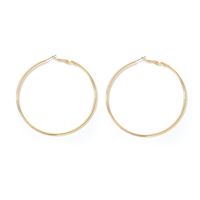 1 Paire Mode Cercle Placage Alliage Le Fer Des Boucles D'Oreilles sku image 15