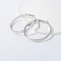 1 Paar Mode Kreis Überzug Legierung Eisen Ohrringe sku image 31