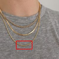 Mode Twist Titan Stahl Überzug Geschichtete Halskette 1 Stück sku image 3