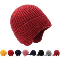 Men's Simple Style Solid Color Wool Cap main image 6