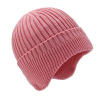 Men's Simple Style Solid Color Wool Cap main image 2